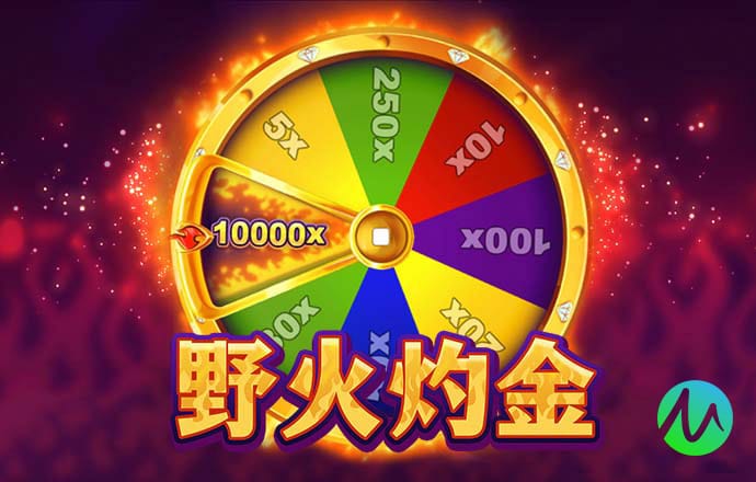 81456一肖一码